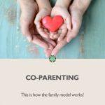 Pin me: Co-parenting: How the family model works