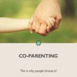 Pin: Co-Parenting Gründe