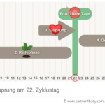 Der weibliche Zyklus - Fruchtbare Tage