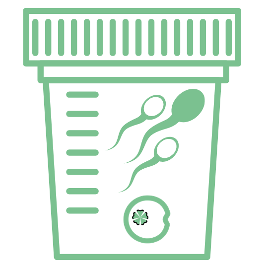 Durchführung einer IVF - Eizellentnahme und Samenprobe