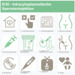 ICSI - Überblick die 12 Schritte