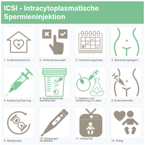 ICSI - Überblick die 12 Schritte
