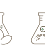 Unterschiede zwischen IVF, IVM und ICSI