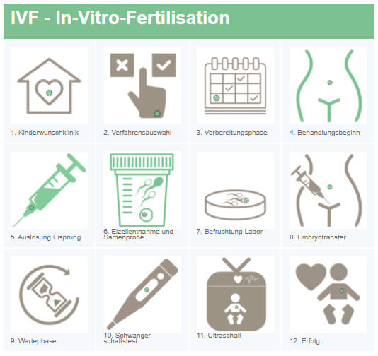 IVF - Überblick die 12 Schritte