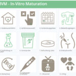 IVM - Overview the 12 steps