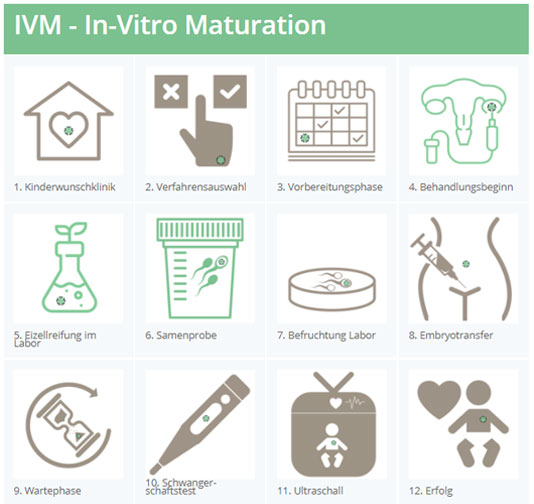IVM - Überblick die 12 Schritte