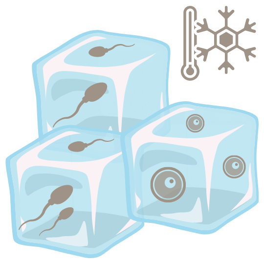 Cryopreservation Freezing of semen and eggs