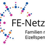 FE-Netz