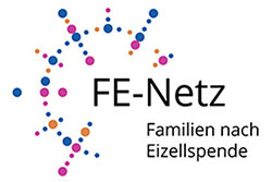 FE-Netz