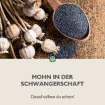 Mohn in der Schwangerschaft? Das solltest du beachten!