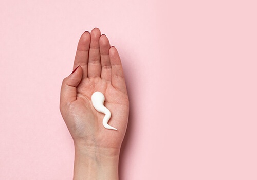 9 steps to artificial insemination through sperm donation