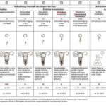 Übersicht Befruchtungsmethoden - Künstliche Befruchtung - Partner4Baby