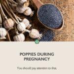 Poppies during pregnancy? You should pay attention to this!