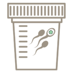 Step 8: Providing the sperm donation - 9 steps to artificial insemination through sperm donation
